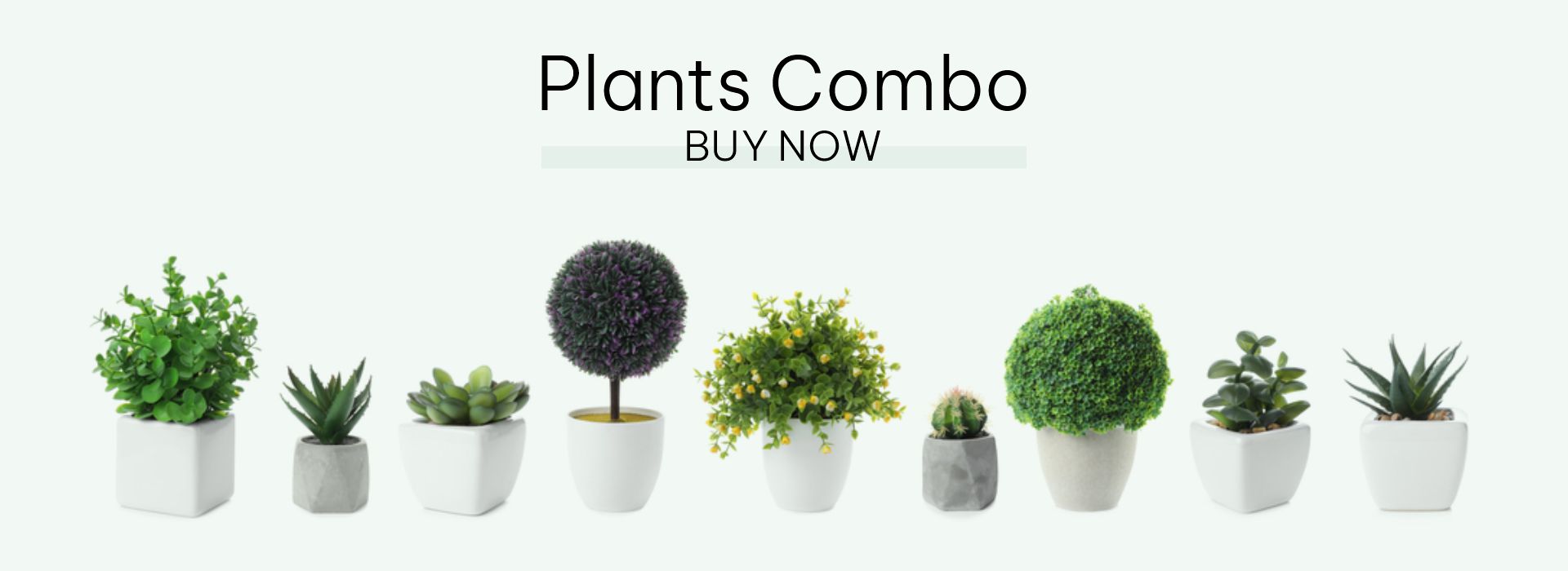 plantscombo