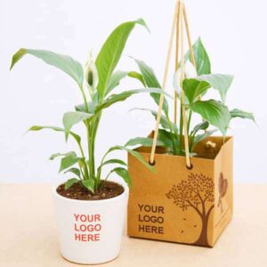 plants for corporates